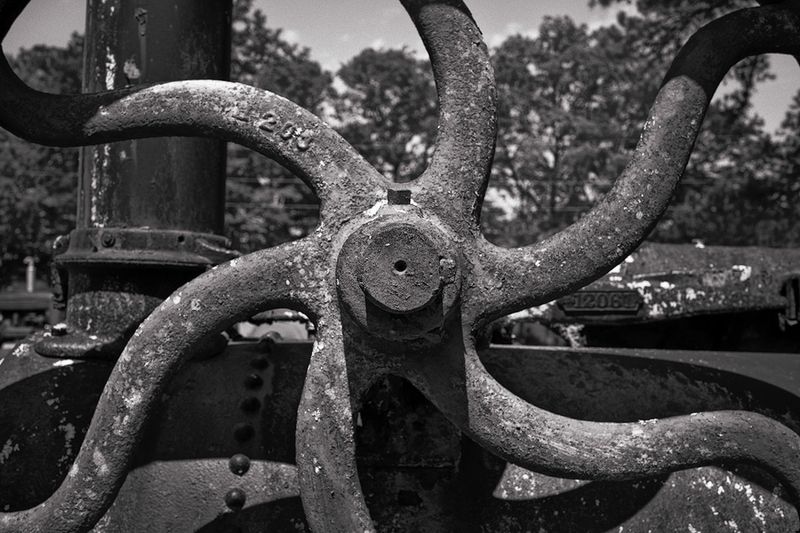 Z62_6449_DxO copy-sharpened.jpeg