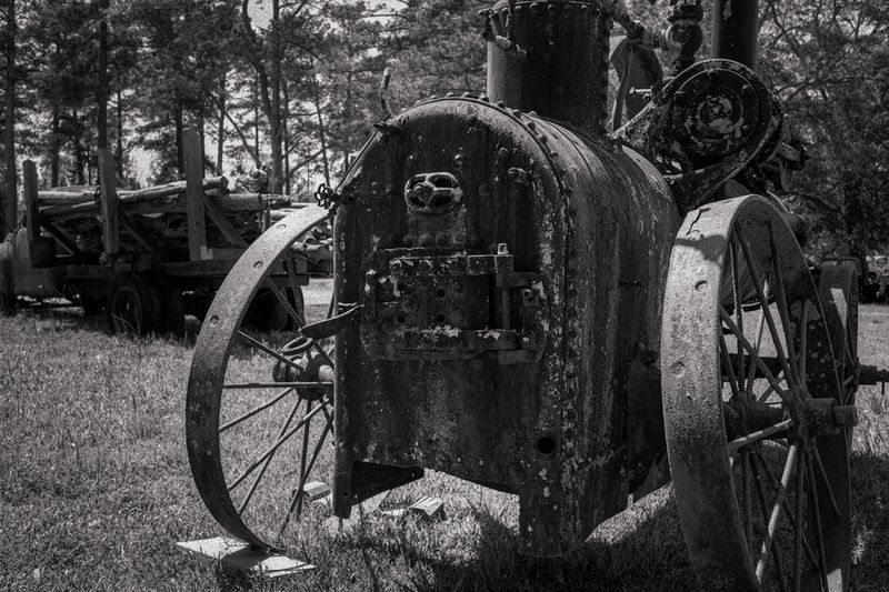 Z62_6453_DxO copy-sharpened.jpeg