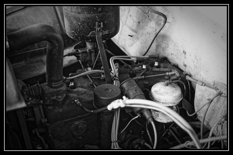 L1004095_DxO.jpg
