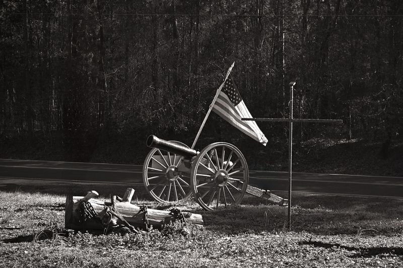 Z62_9741-Edit-2-Edit-Edit.jpg
