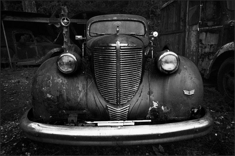 Z62_8333_DxO-Edit.jpg