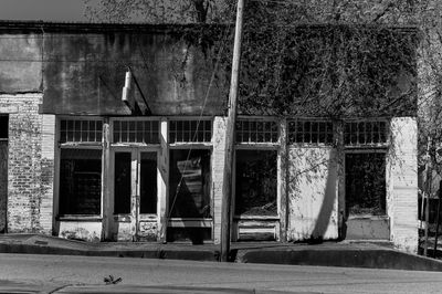 Z62_0441.JPG