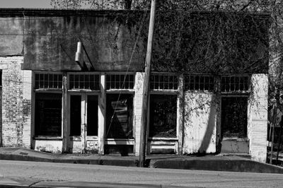 Z62_0441_DxO.jpeg