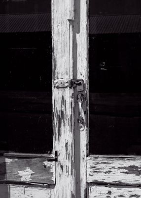 Z62_0443_DxO.jpeg
