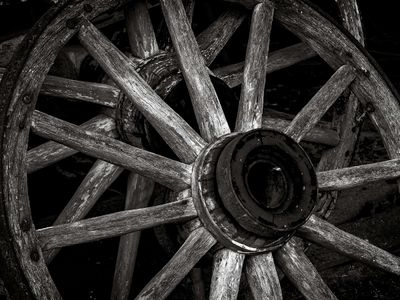 Z62_1048-NEF_DxO_PRIME-Edit_DxO.jpg