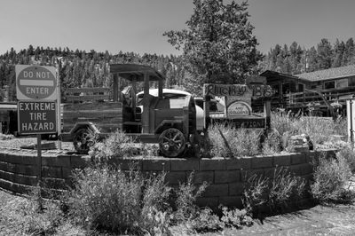 Z62_1863-Edit_DxO.jpeg