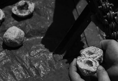 Z62_1936-sharpened.jpeg