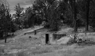 Structure in field