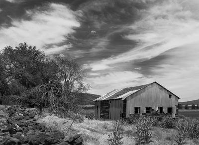 Z62_1765-Edit.jpg
