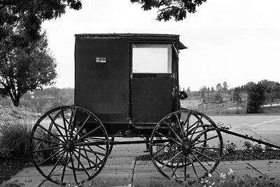 carriage.jpg