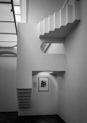 Z62_3027_DxO-1-2.jpg