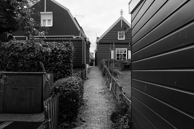 Z62_3175_DxO copy.jpeg