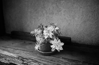 Z62_4650_DxO.jpg