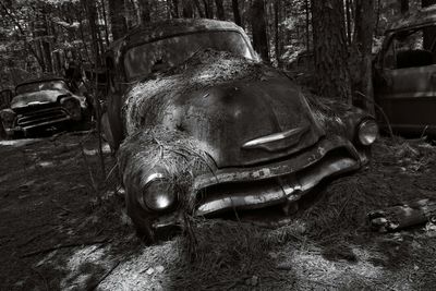 _71K0143-TEST_TRIPOD_REMOTE314-Edit_DxO.jpg