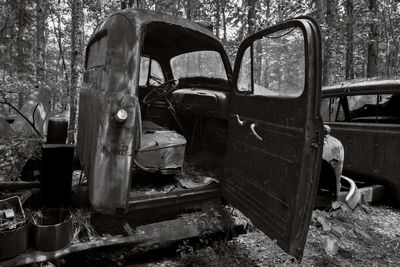 _71K0144-TEST_TRIPOD_REMOTE315-Edit_DxO.jpg