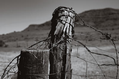 Z62_7664-sharpened.png