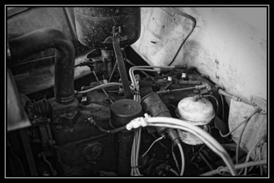 L1004095_DxO.jpg