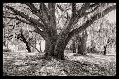 Z62_7873-Edit_DxO_1.jpg