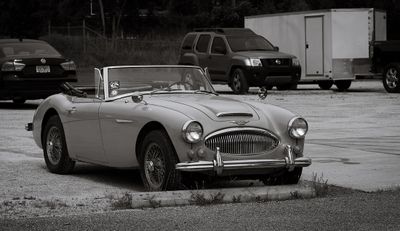 Z62_7202-sharpened.jpg