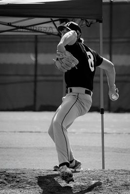750_7651_DxO copy-sharpened.tiff