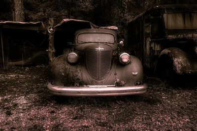 Z62_8334_DxO-sharpened.jpeg