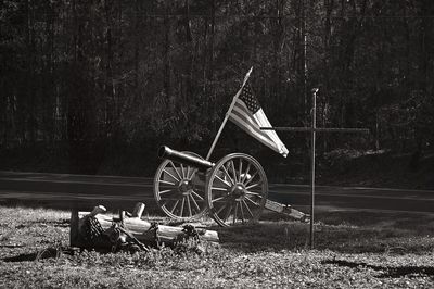 Z62_9741-Edit-2-Edit-Edit.jpg
