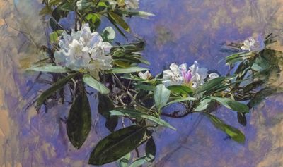 6. Extending Rhododendron 24 1/2 x 41 1/2