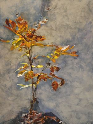 Young Birch