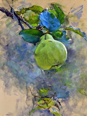 Big Quince 24 x 18
