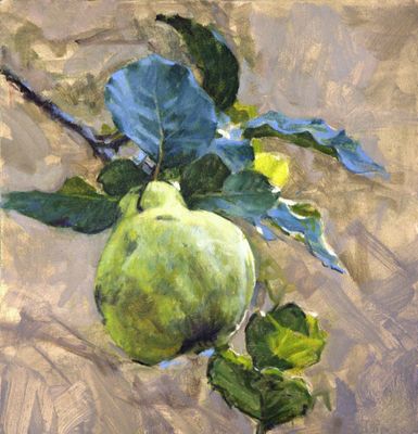 37. Solitary Quince 14 x 13 1/2