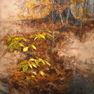 39. Moment in the Woods 40 x 40