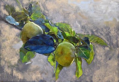 44. Two Quinces 16 3/4 x 24