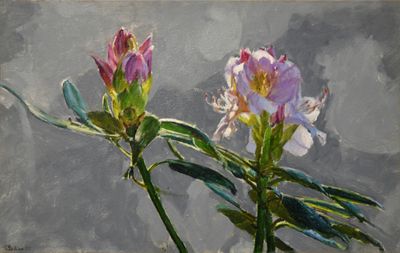 45. Rhododendrons 11 x 17 1/2