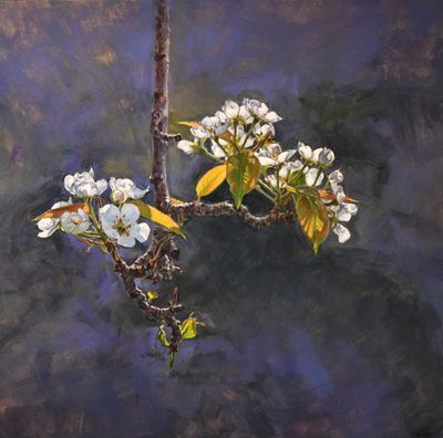 006 Pear Branch, Blossoming