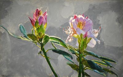 009 Rhododendrons