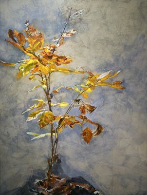 010 Autumnal Resplendence