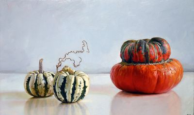 Turban Squash 16 x 27
