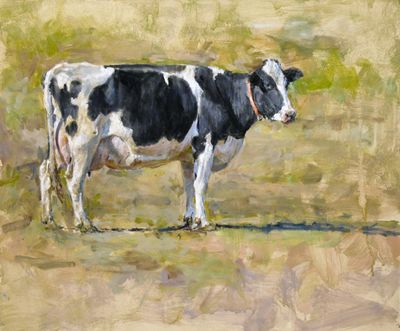 Solo Holstein 20 x 24