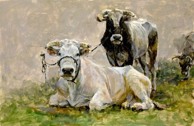 Oxen 13 1/2 x 20 3/4