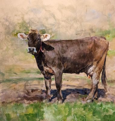8.5 Solo Brown Swiss 19 x 18 v33 web x2