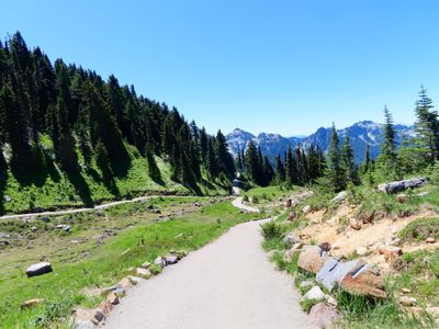 Rainier hike