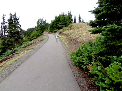 Hiking Hurricane Ridge