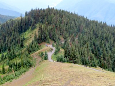 View on Hurricane Ridge