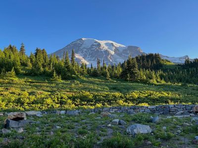 Early morning at Mount Rainier