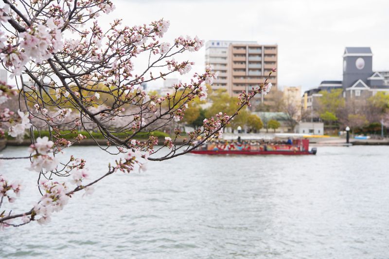 DSC_5497R.jpg