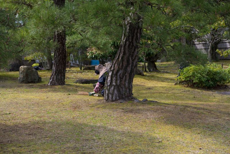 DSC_5665R.jpg