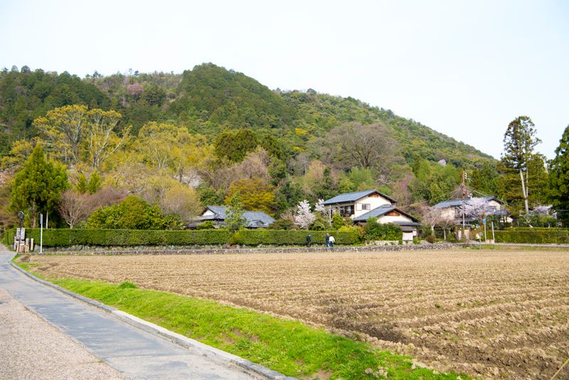 DSC_5709R.jpg