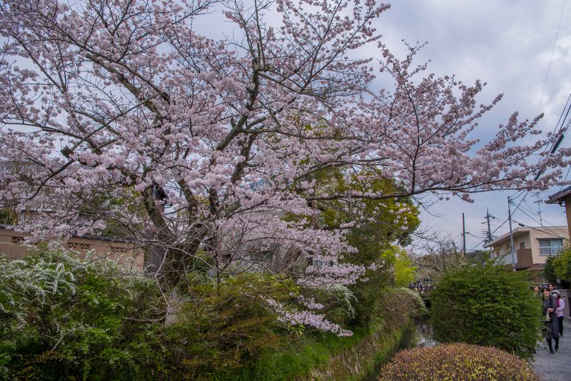 DSC_5893R.jpg