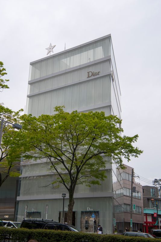 DSC_6487R.jpg