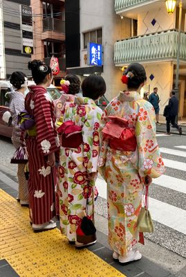 g13/01/53301/3/174461670.16a0dfff.JPEG